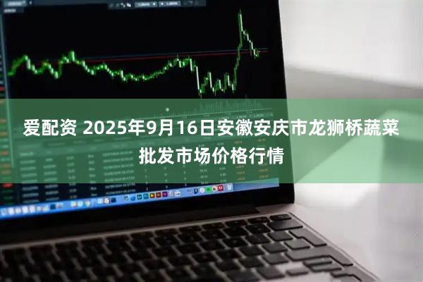 爱配资 2025年9月16日安徽安庆市龙狮桥蔬菜批发市场价格行情
