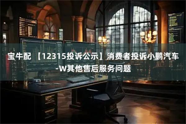 宝牛配 【12315投诉公示】消费者投诉小鹏汽车-W其他售后服务问题
