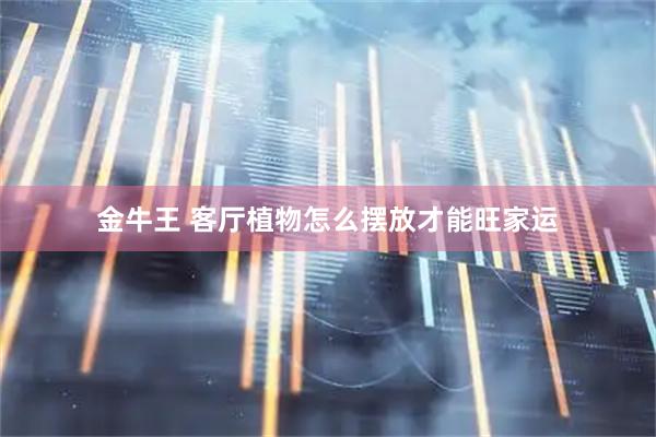 金牛王 客厅植物怎么摆放才能旺家运