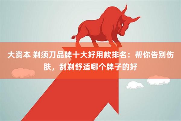 大资本 剃须刀品牌十大好用款排名：帮你告别伤肤，刮剃舒适哪个牌子的好