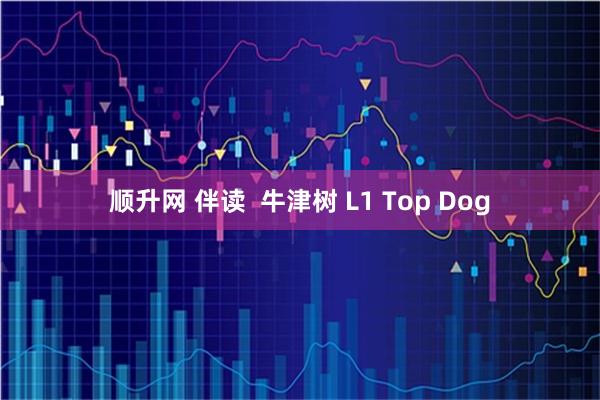 顺升网 伴读  牛津树 L1 Top Dog