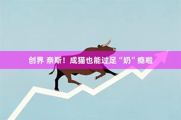 创界 奈斯！成猫也能过足“奶”瘾啦