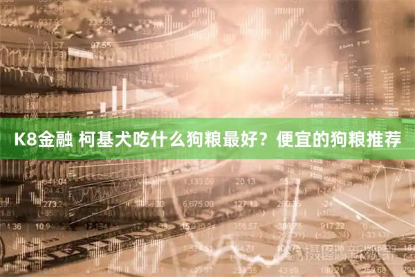 K8金融 柯基犬吃什么狗粮最好？便宜的狗粮推荐